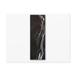 black horse post cards
