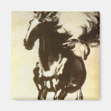 Black Horse Refrigerator Magnets
