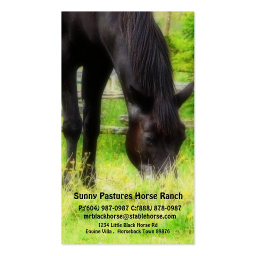 Black Horse Riding Stables Boarding or Farrier Business Card Templates (front side)