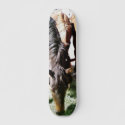 Black Horse skateboards