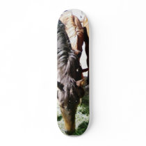 Black Horse skateboards by lifesphere Black Horse skateboards