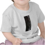 black horse t-shirts
