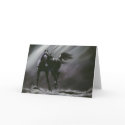 Black Horse Wisdom cards