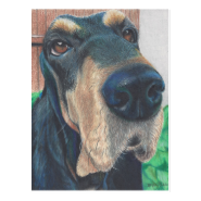 black hound post card postcard