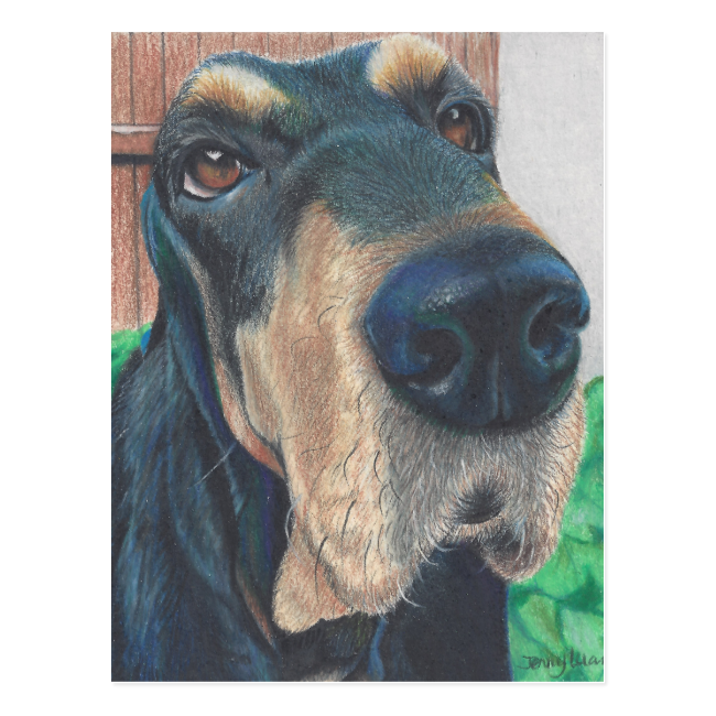 black hound post card postcard