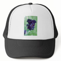 Black Iris hats by redwoodtwig Black Iris hats