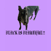 BLACK IS BEAUTIFUL!! -Especially a Black Dog! t-shirts by PURPLEGREYHOUND BLACK IS BEAUTIFUL!! -Especially a Black Dog! t-shirts