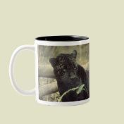 Black_jaguar, Black_jaguar, Black_jaguar