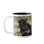 Black_jaguar, Black_jaguar, Black_jaguar Mug