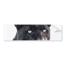 Black Jaguar Bumper Sticker