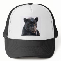 Black Jaguar Mesh Hats