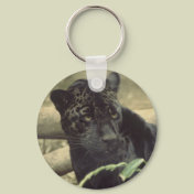Black_jaguar