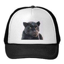 Black Jaguar Mesh Hats