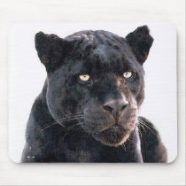 Black Jaguar Usepads