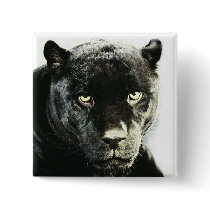 Black Jaguar Panther Button