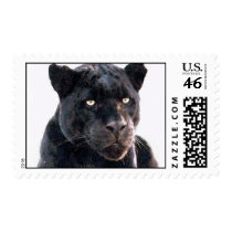 Black Jaguar Postage
