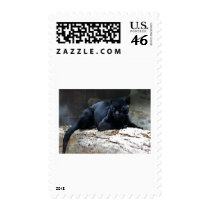 Black Jaguar Stamps