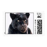 Black Jaguar Postage