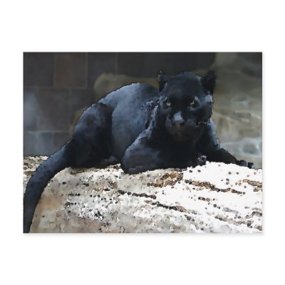 Black Jaguar Post Card by made_in_atlantis