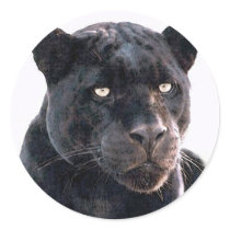 Black Jaguar Sticker