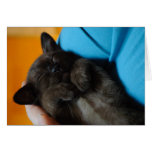 Black Kitten Sleeping on her Back Greeting Card