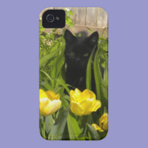 Black Kitten, Yellow Tulips. iPhone 4 case casemate cases