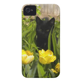 Black Kitten, Yellow Tulips. iPhone 4 case casemate_case