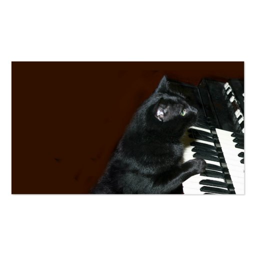 Black kitty cat play the organ business card (front side)