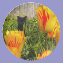 Black Kitty in the Tulips Plate plates