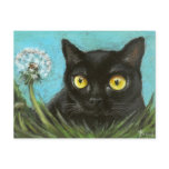 Black kitty postcards