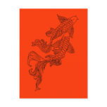 Black Kois Postcards