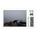 black lab and canoes postage by jurassicfatt black lab and canoes postage