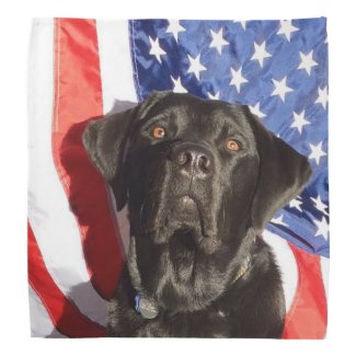 Black Lab and Flag Bandana