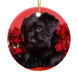 Black Lab and roses Ornament