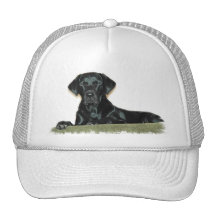 Black Lab Baseball Hat 