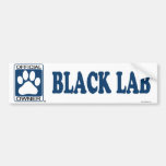 Black Lab Blue Bumper Sticker