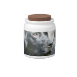 Black Lab  Candy Jar
