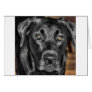 Black Lab Greeting Card