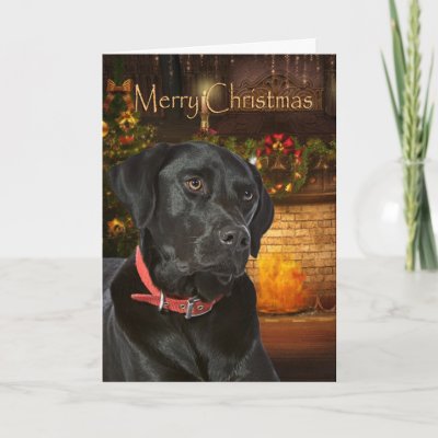 Black Lab Christmas Card