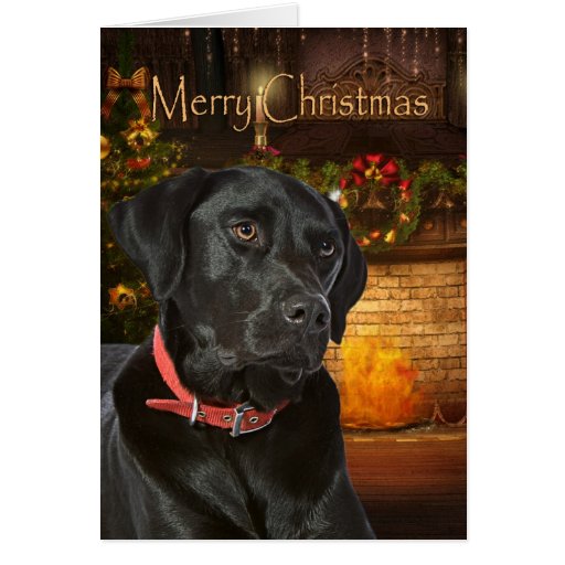 Black Lab Christmas Card Zazzle