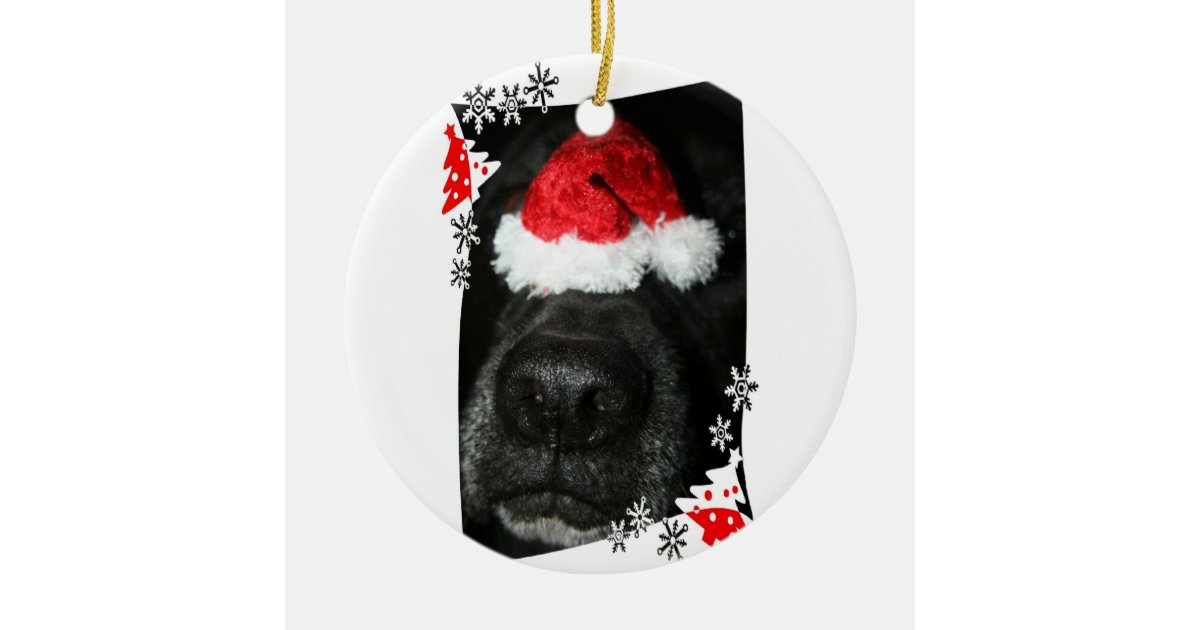 snap dalmatian dogs christmas santa photo ceramic ornament surfing santa christmas ornament