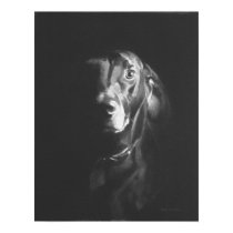 Black Lab Dog Watercolor by Paul Jackson posters by PaulJacksonart Black Lab Dog Watercolor by Paul Jackson posters
