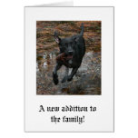 Black Lab Dog with Pinecone running Card