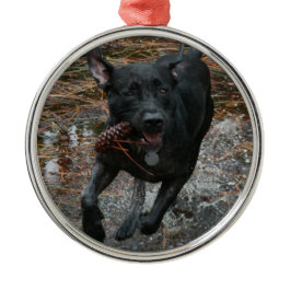 Black Lab Dog with Pinecone running Ornaments