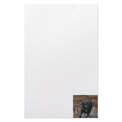 Black Lab Dog with Pinecone running Stationery by SusansZooCrew