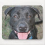 Black lab head shot happy with tongue close up mouse pad