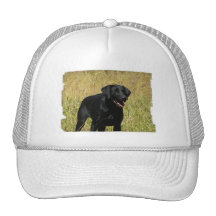 Black Lab in Field  Baseball Hat