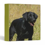 Black Lab in Field Binder binders
