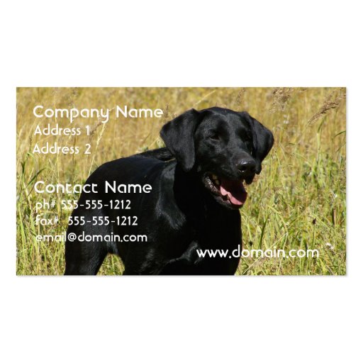 Black Lab in Field Business Cards (front side)
