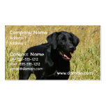Black Lab in Field Business Cards
